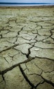 Healing silt dried up and cracked in the sun on the shore