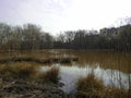 Healing spa mud and peat bog