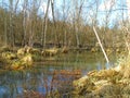 Healing spa mud and peat bog