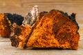 Healing tea from birch mushroom chaga is used in folk medicine. Royalty Free Stock Photo