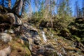 Healing water in the Siberian taiga