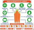 Health benefits of carrot infographic vector illustration. Health care, medical concept for education, websites.