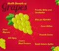 Health Benefits of Grapes. Fresh Fruit. Healthy food to eat