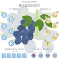 Health benefits and nutrition facts of blueberry infographic vector illustration.