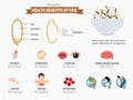 Health benefits of rice infographics.vector Royalty Free Stock Photo