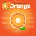 Health Benefits of Orange. Fresh Fruit.Health care tips. Vector design