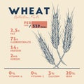 Health benefits of wheat . Nutrition facts.