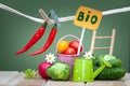 Health bio organic food concept. Stylish composition of small fruits and vegetables and garden Royalty Free Stock Photo