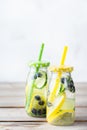 Fresh cool lemon cucumber berry infused water detox drink Royalty Free Stock Photo