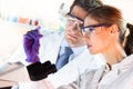 Health care professionals working in laboratory. Royalty Free Stock Photo