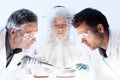 Health care researchers working in scientific laboratory. Royalty Free Stock Photo