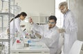 Health care student researchers working in life science or pharmacy laboratory Royalty Free Stock Photo