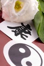 Health Chinese Signs Royalty Free Stock Photo