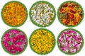 Health circles from medical flowers