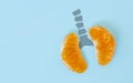 A health concept of unhealthy human lungs of a smoker with lung cancer in dark shadows, made of mandarin segments