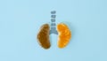 A health concept of unhealthy human lungs of a smoker with lung cancer in dark shadows, made of mandarin segments