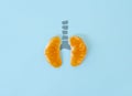 A health concept of unhealthy human lungs of a smoker with lung cancer in dark shadows, made of mandarin segments Royalty Free Stock Photo
