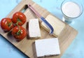 Health food healthy diet food group, dairy free products, with soy milk, tofu, soy cheese, and goats cheese Royalty Free Stock Photo