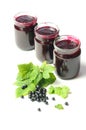 Health-giving vitamin, black currant on the white background Royalty Free Stock Photo