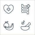 health line icons. linear set. quality vector line set such as ingient, fruit, intestines