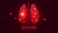Lungs infected by virus on red background