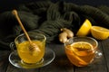 health medicine coziness warm honey lemon ginger tea winter mulled wine Royalty Free Stock Photo