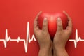 Health, medicine, people and cardiology concept - close up of hand with small red heart and cardiogram on red background Royalty Free Stock Photo