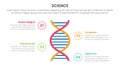 health and science research infographic 4 point stage template with dna double helix concept for slide presentation Royalty Free Stock Photo