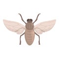 Health tsetse fly icon cartoon vector. Africa insect
