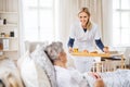 A health visitor bringing breakfast to a sick senior woman lying in bed at home. Royalty Free Stock Photo