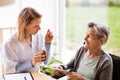 Health visitor and a senior woman with tablet. Royalty Free Stock Photo