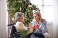 Health visitor and senior woman in wheelchair with a present at home at Christmas. Royalty Free Stock Photo