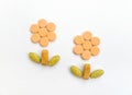 Health vitamins supplements as plants