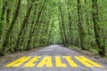 Jungle road to health Royalty Free Stock Photo