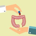 Healthcare concept. Doctor`s hand give medical pill for treatment human intestine. Vector illustration