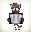 Healthcare concept-Illustration of cartoon character cat holding X-ray