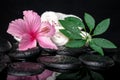 healthcare concept of pink hibiscus, green leaf shefler with drops and white stacked towels on zen stones in reflection water Royalty Free Stock Photo