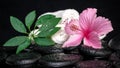 healthcare concept of pink hibiscus, green leaf shefler with drops and white stacked towels on zen stones in reflection water Royalty Free Stock Photo