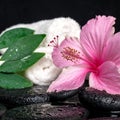 healthcare concept of pink hibiscus, green leaf shefler with drops and white stacked towels on zen stones in water Royalty Free Stock Photo