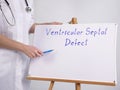 Healthcare concept about Ventricular Septal Defect VSD with inscription on the piece of paper