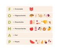 Healthcare dieting infographic collection. Vector flat food illustration. Low Fodmap diet product concept with product types.