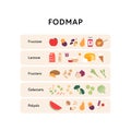 Healthcare dieting infographic collection. Vector flat food illustration. Low Fodmap diet. Types of fructose, lactose, fructan,