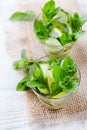 Cucumber lime mint fresh infused water detox drink cocktail lemonade Royalty Free Stock Photo