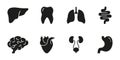 Healthcare Glyph Icon. Internal Organ Anatomy Black Pictogram. Human Brain, Intestine, Urinary System, Tooth, Stomach