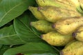 Bunch of Yellow Banana fruits collection on green background