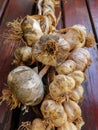 The healthiest food supplement garlic