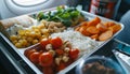 Healthy airplane meal with fresh ingredients served on a tray table, emphasizing nutritious in-flight dining options Royalty Free Stock Photo