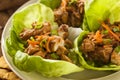 Healthy Asian Chicken Lettuce Wrap Royalty Free Stock Photo