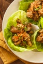 Healthy Asian Chicken Lettuce Wrap Royalty Free Stock Photo