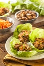 Healthy Asian Chicken Lettuce Wrap Royalty Free Stock Photo